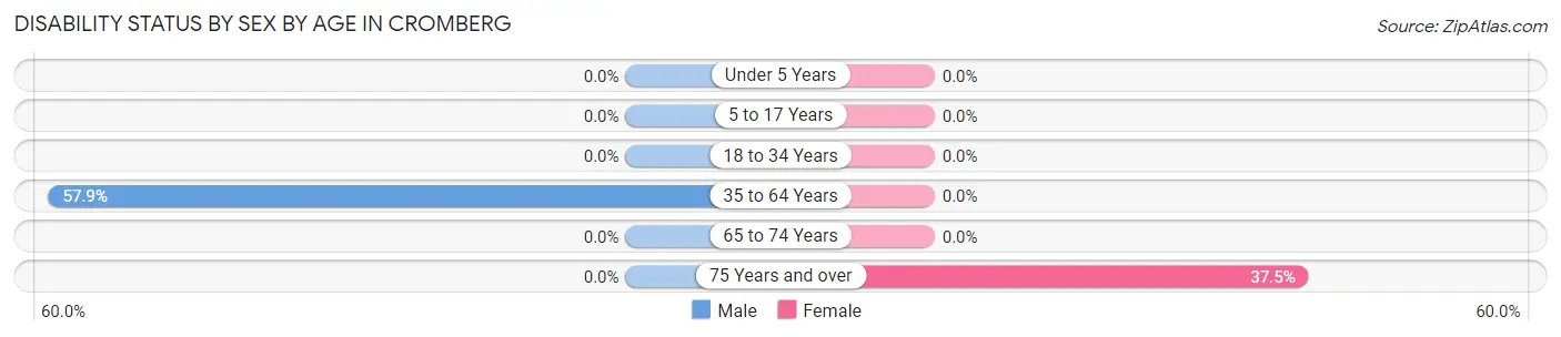 Disability Status by Sex by Age in Cromberg