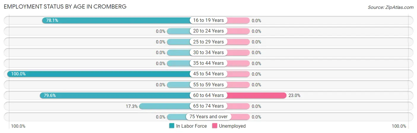 Employment Status by Age in Cromberg