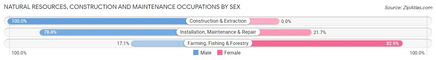 Natural Resources, Construction and Maintenance Occupations by Sex in Davis