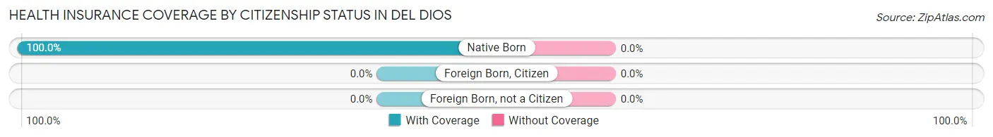 Health Insurance Coverage by Citizenship Status in Del Dios
