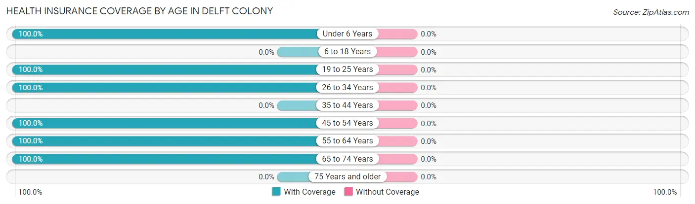 Health Insurance Coverage by Age in Delft Colony