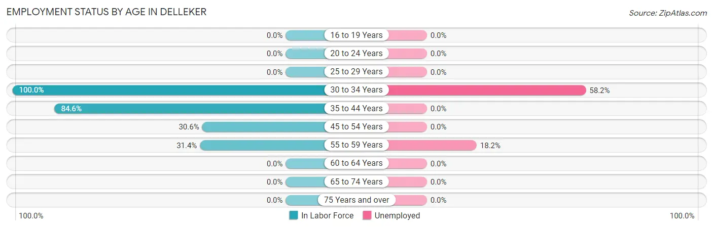 Employment Status by Age in Delleker