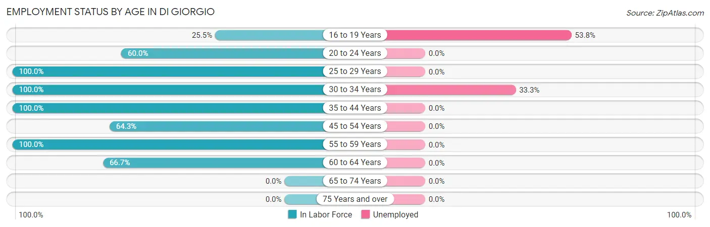 Employment Status by Age in Di Giorgio