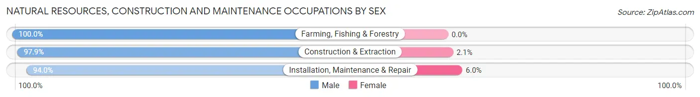 Natural Resources, Construction and Maintenance Occupations by Sex in East Hemet