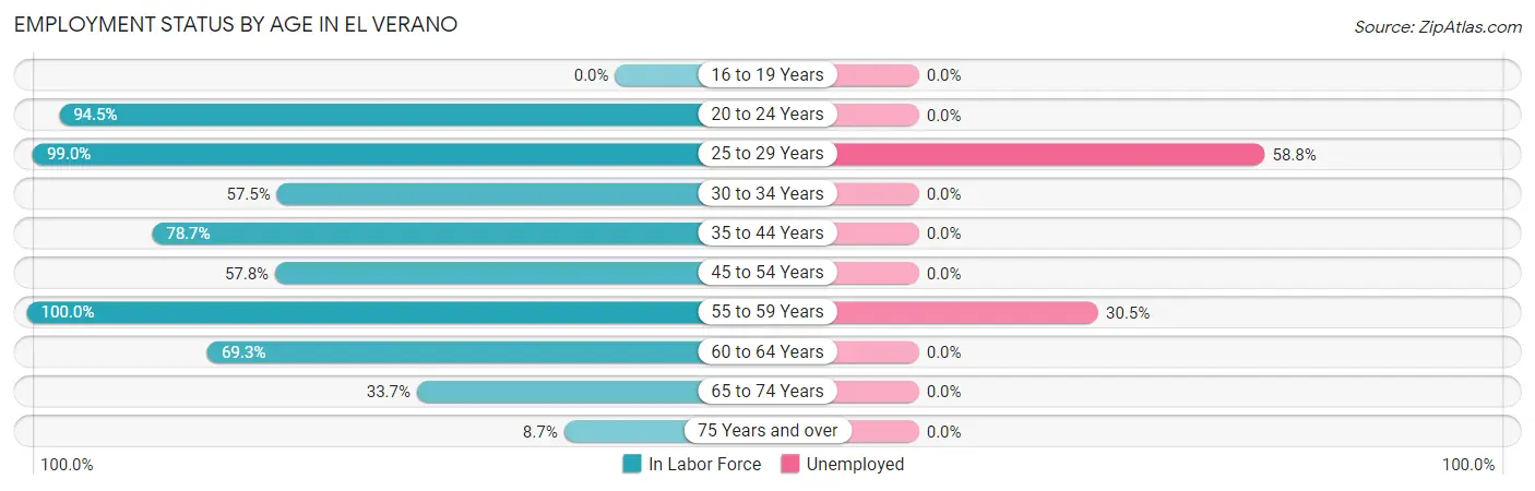 Employment Status by Age in El Verano