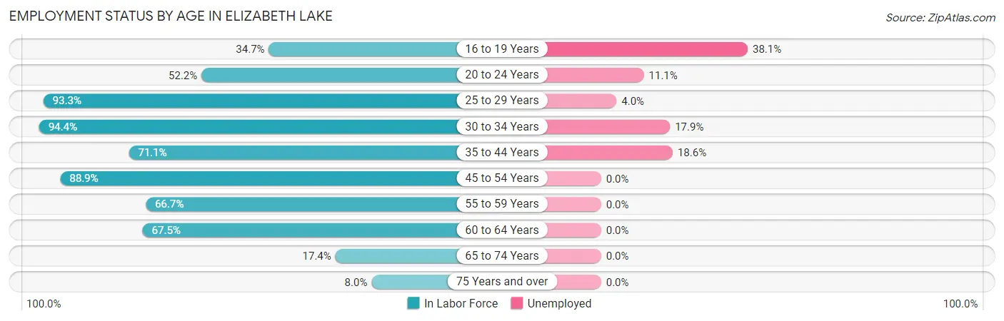Employment Status by Age in Elizabeth Lake