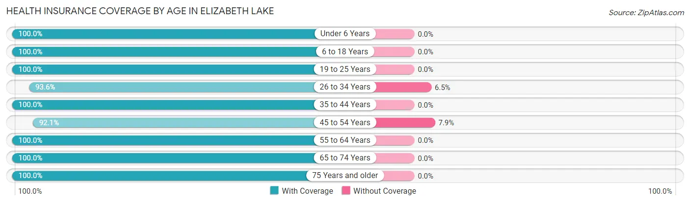 Health Insurance Coverage by Age in Elizabeth Lake