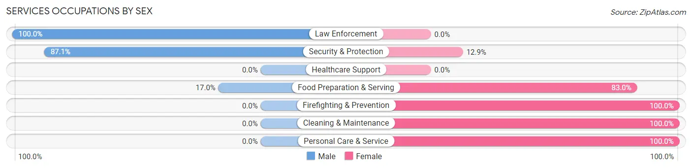 Services Occupations by Sex in Elizabeth Lake