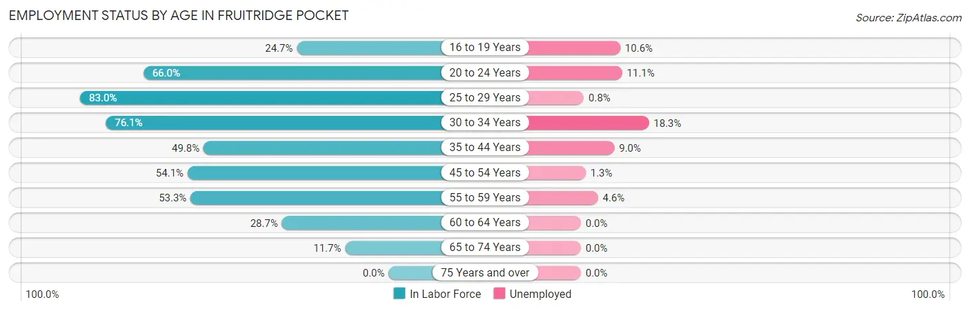 Employment Status by Age in Fruitridge Pocket