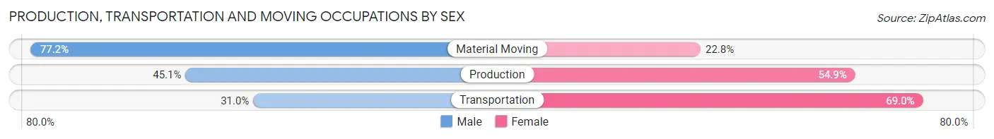 Production, Transportation and Moving Occupations by Sex in Fruitridge Pocket