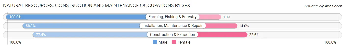 Natural Resources, Construction and Maintenance Occupations by Sex in Hartley