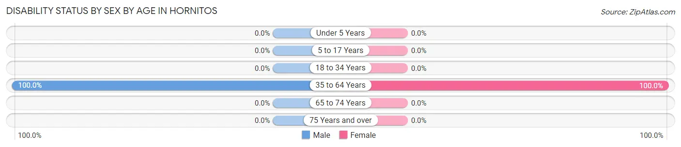Disability Status by Sex by Age in Hornitos