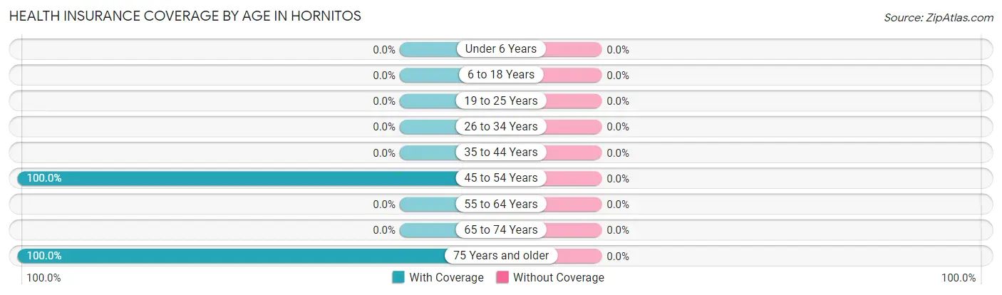 Health Insurance Coverage by Age in Hornitos
