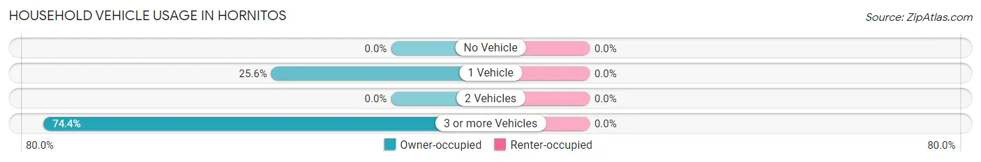Household Vehicle Usage in Hornitos
