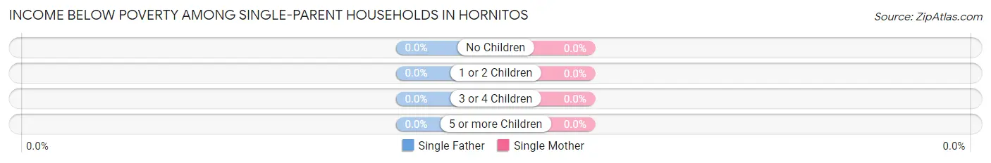 Income Below Poverty Among Single-Parent Households in Hornitos