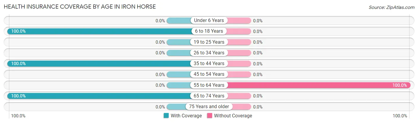 Health Insurance Coverage by Age in Iron Horse