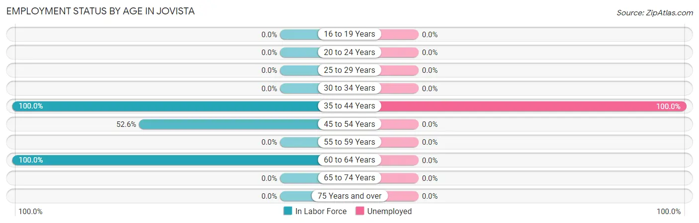 Employment Status by Age in Jovista