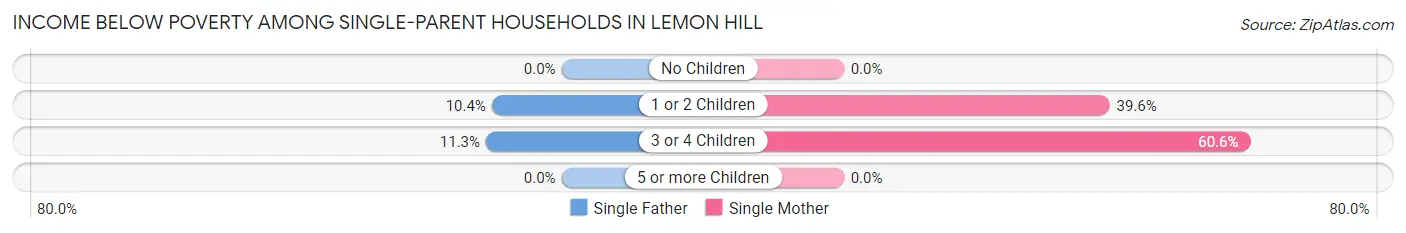 Income Below Poverty Among Single-Parent Households in Lemon Hill