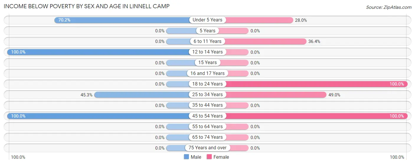 Income Below Poverty by Sex and Age in Linnell Camp