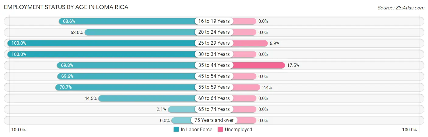 Employment Status by Age in Loma Rica