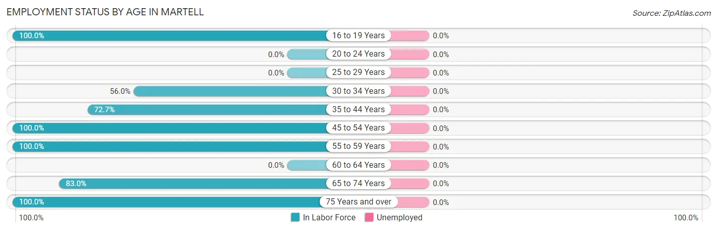 Employment Status by Age in Martell