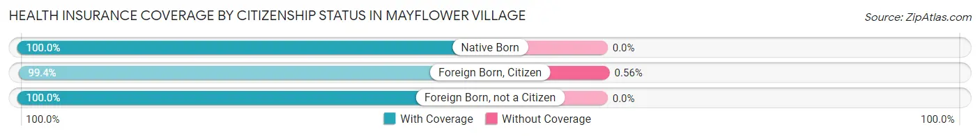 Health Insurance Coverage by Citizenship Status in Mayflower Village