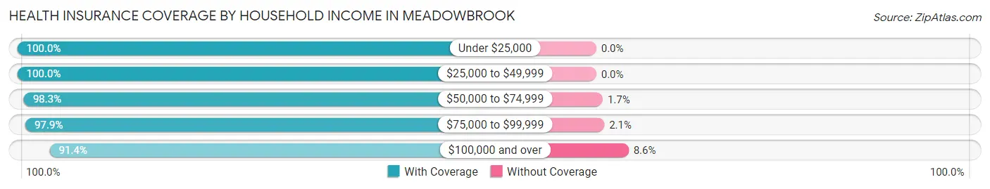 Health Insurance Coverage by Household Income in Meadowbrook
