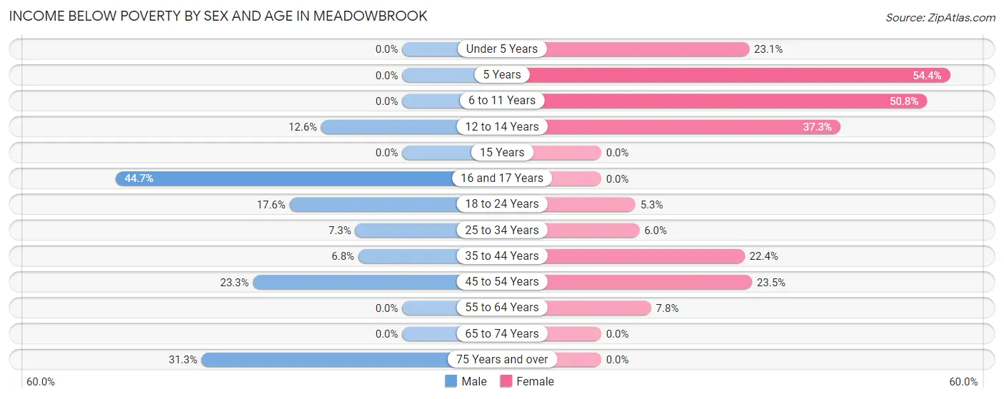 Income Below Poverty by Sex and Age in Meadowbrook