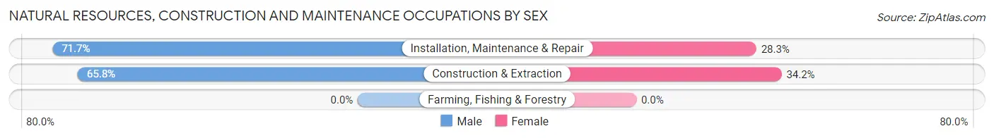 Natural Resources, Construction and Maintenance Occupations by Sex in Meadowbrook