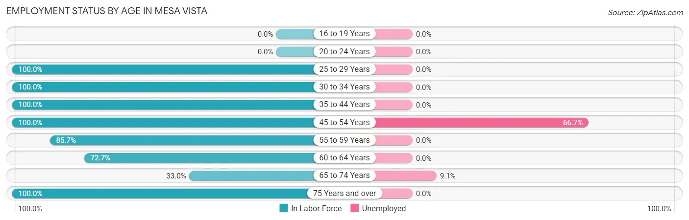 Employment Status by Age in Mesa Vista