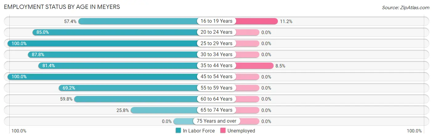 Employment Status by Age in Meyers