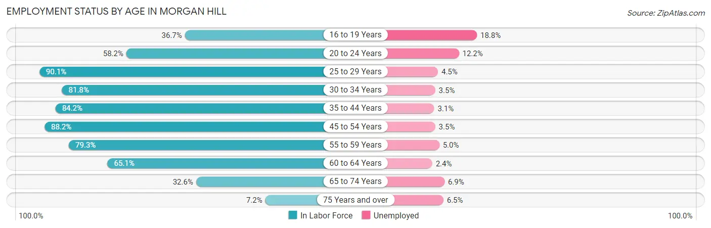 Employment Status by Age in Morgan Hill