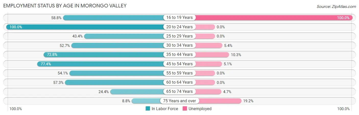 Employment Status by Age in Morongo Valley