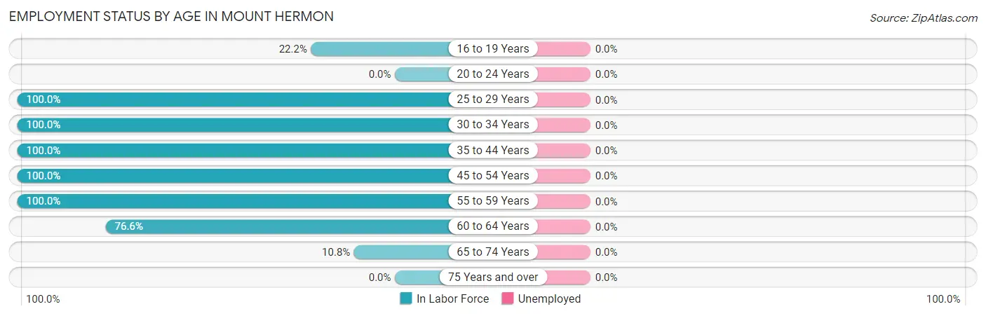 Employment Status by Age in Mount Hermon