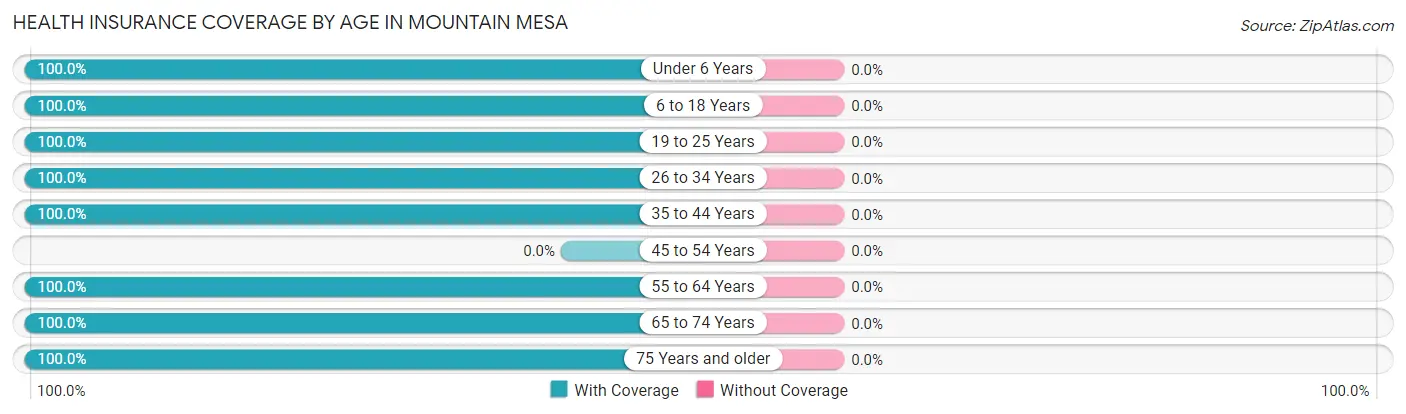 Health Insurance Coverage by Age in Mountain Mesa
