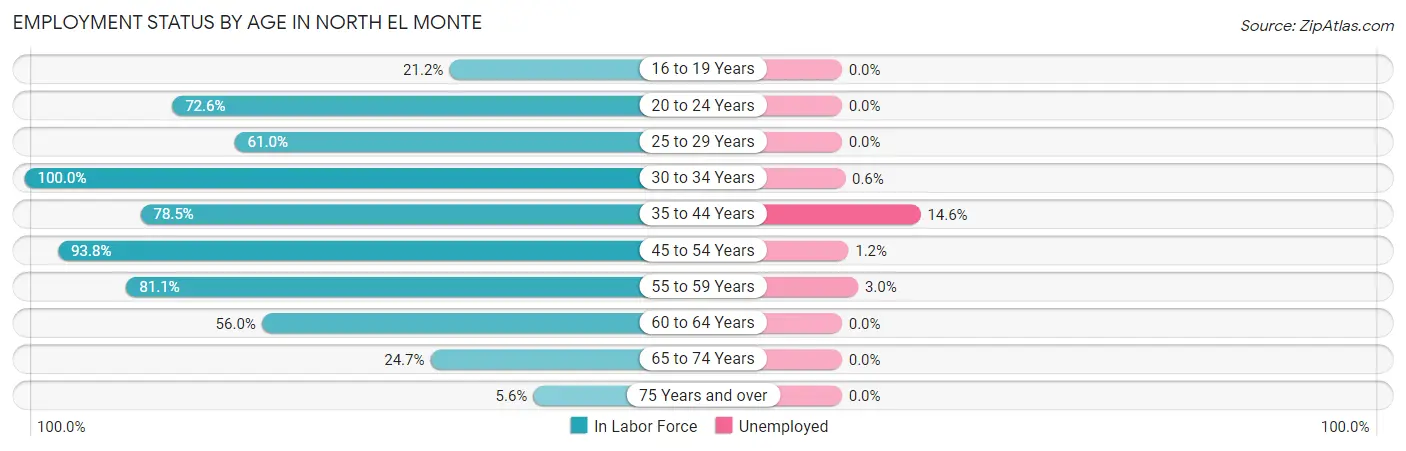 Employment Status by Age in North El Monte