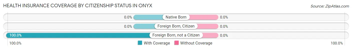 Health Insurance Coverage by Citizenship Status in Onyx