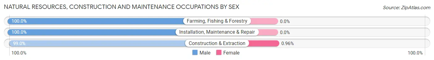 Natural Resources, Construction and Maintenance Occupations by Sex in Palo Alto
