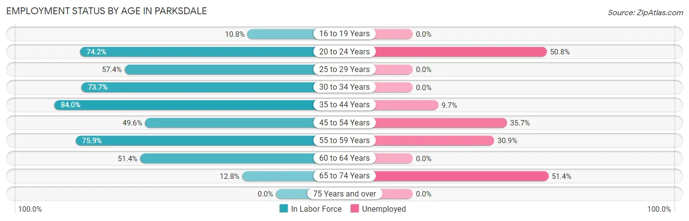 Employment Status by Age in Parksdale