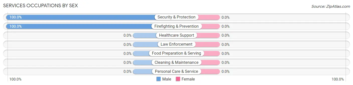 Services Occupations by Sex in Pasatiempo