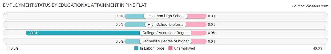 Employment Status by Educational Attainment in Pine Flat