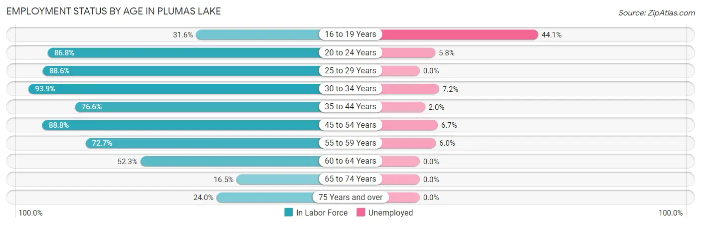 Employment Status by Age in Plumas Lake