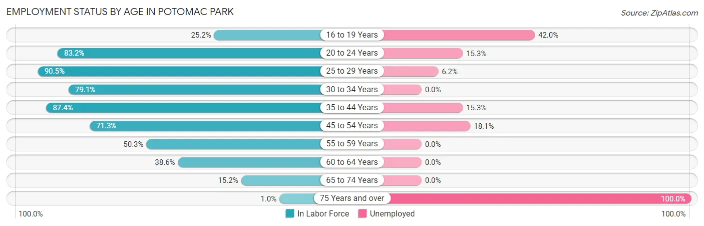 Employment Status by Age in Potomac Park