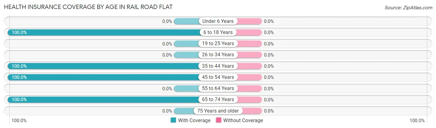 Health Insurance Coverage by Age in Rail Road Flat