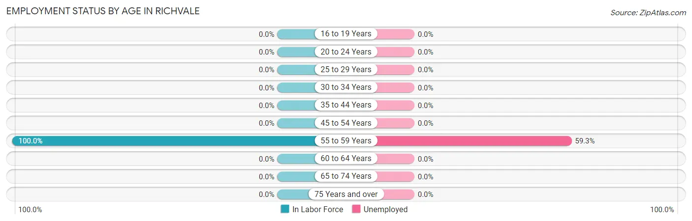 Employment Status by Age in Richvale
