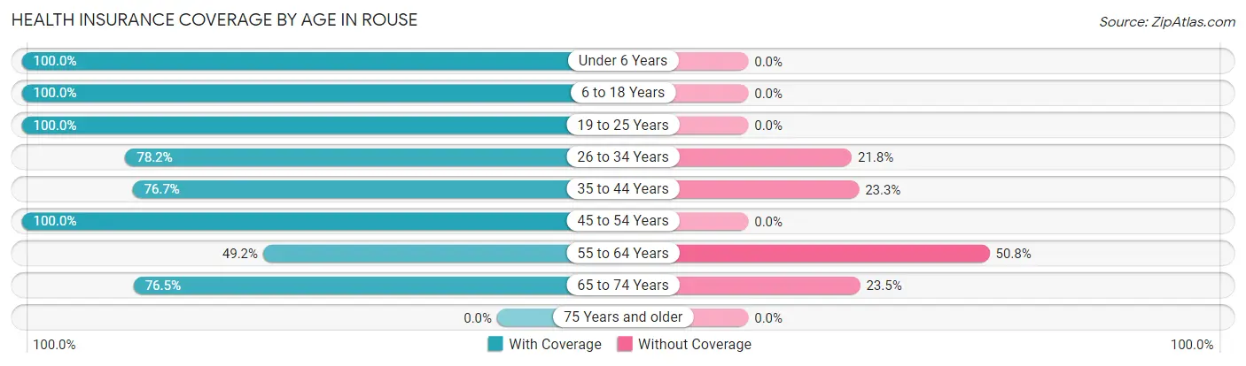 Health Insurance Coverage by Age in Rouse