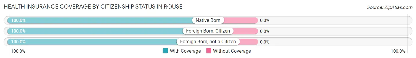 Health Insurance Coverage by Citizenship Status in Rouse