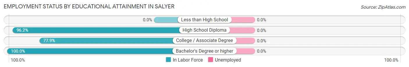 Employment Status by Educational Attainment in Salyer