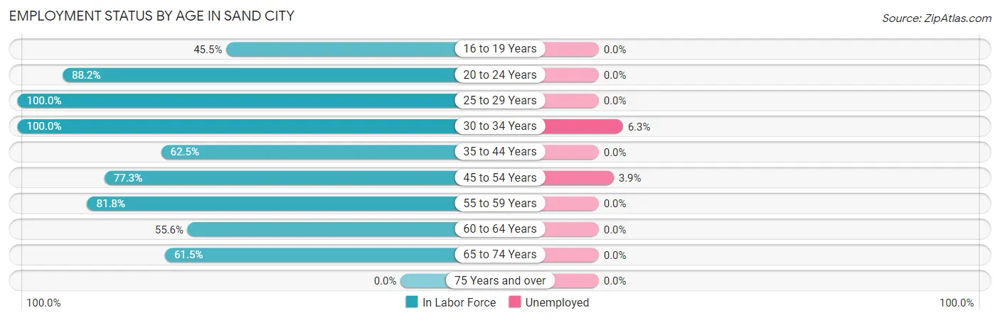 Employment Status by Age in Sand City
