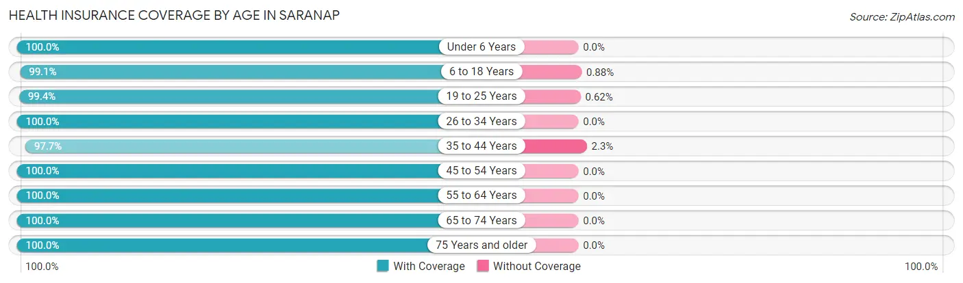 Health Insurance Coverage by Age in Saranap
